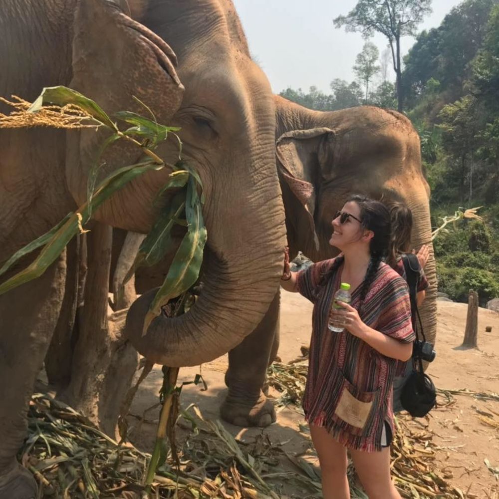 Meet your Posher, Ashley